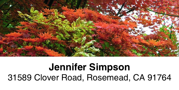 Autumn Splendor 2-Line Address Label