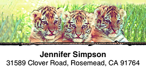 Critters 2-Line Address Label