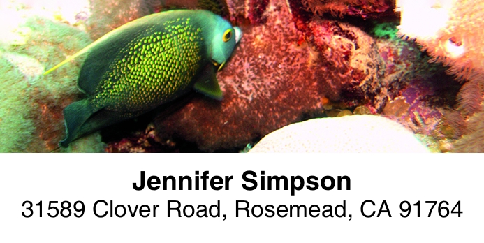 Dive 2-Line Address Label