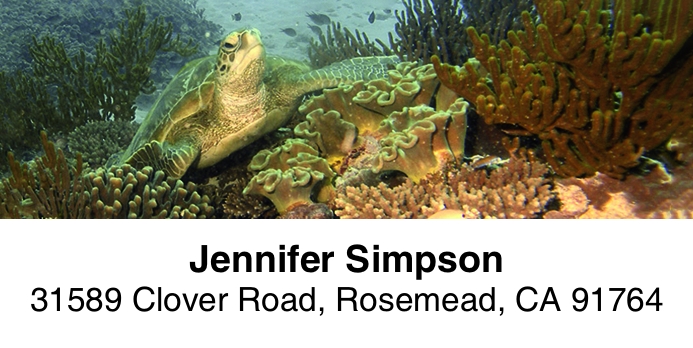 Dive 2-Line Address Label