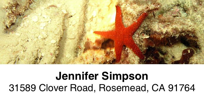 Dive 2-Line Address Label