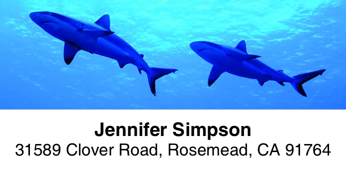 Dive 2-Line Address Label