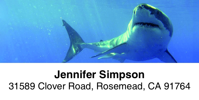 Dive 2-Line Address Label