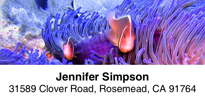 Dive 2-Line Address Label