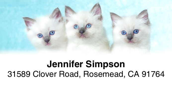 Kittens 2-Line Address Label