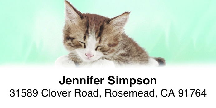 Kittens 2-Line Address Label