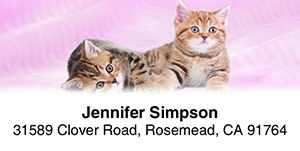 Kittens 2-Line Address Label
