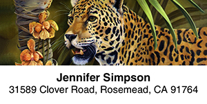 The Big Cats 2-Line Address Label